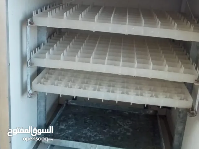 فقاسة بيض وارد الأمارات