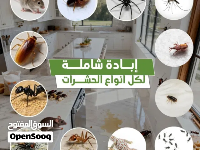 شركة مكافحة حشرات وقوارض بالرياض  إبادة فورية بضمان معتمد