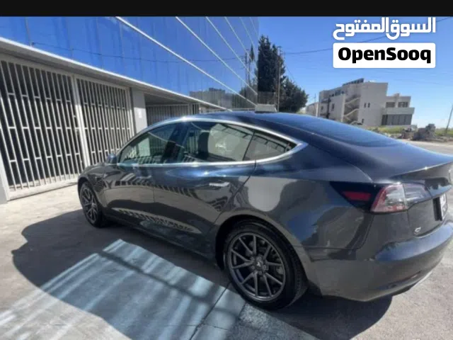 2019 تيسلا موديل 3 Standard Plus