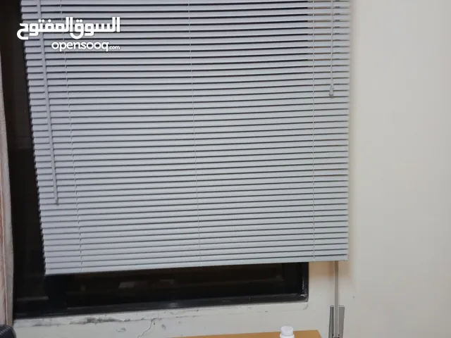 برادي زيبرا جديدة بالكرتون للبيع