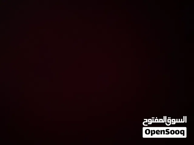 متوفر تمر نغال سعر السلة 6 ريال