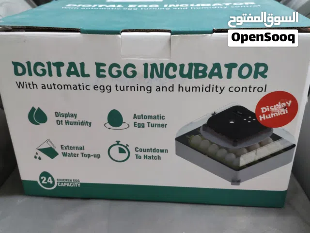 فقاسة البلدة