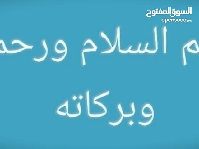 مقاولات عامه