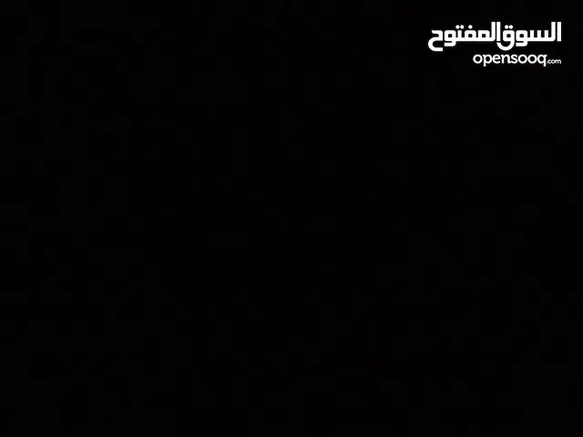 اربع شجرات فستق حلبي