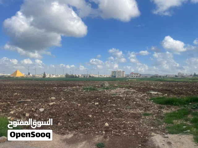 ارض للبيع الحجيوي الوسطاني