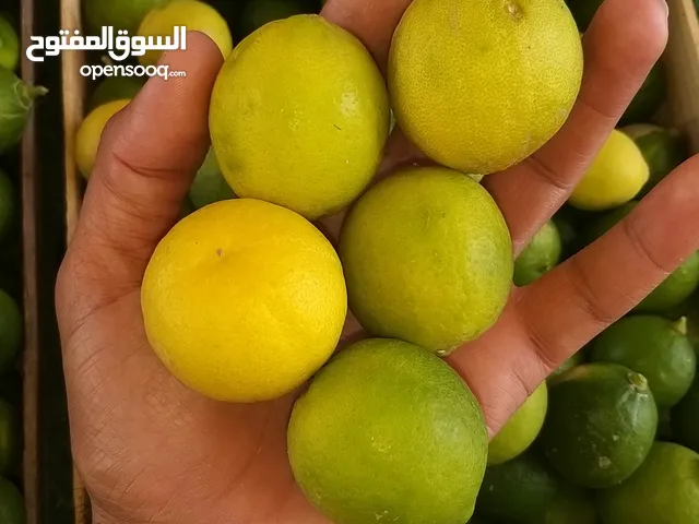 للبيع ليمون اخظر عماني كراتين 7 كيلو