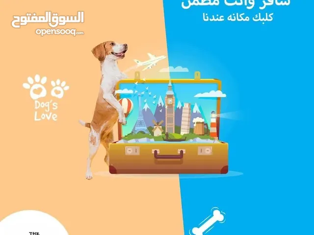 ســــــــافر وانت مطمن