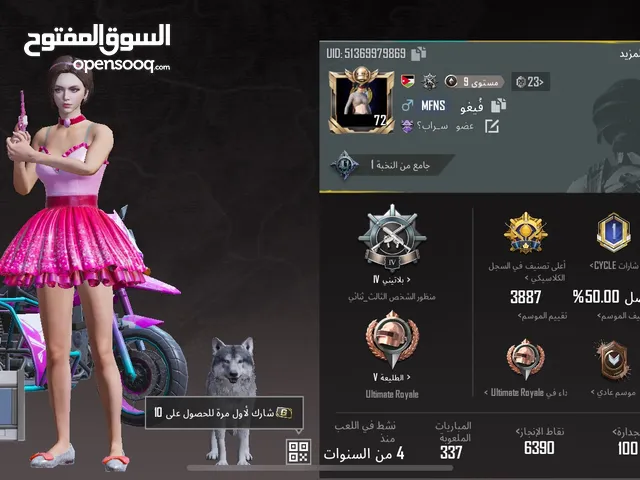 Pubg Accounts and Characters for Sale in Irbid