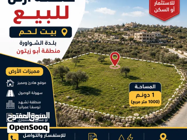 قطعة أرض سكنية  مساحتها دنم تصنيف الف