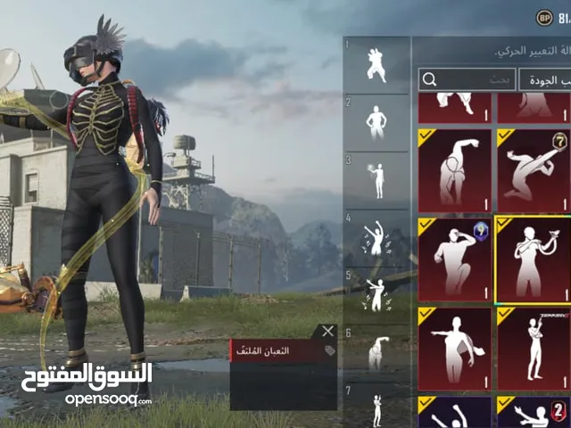 Pubg Accounts and Characters for Sale in Amman