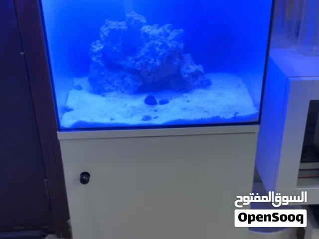 حوض ماي بحر