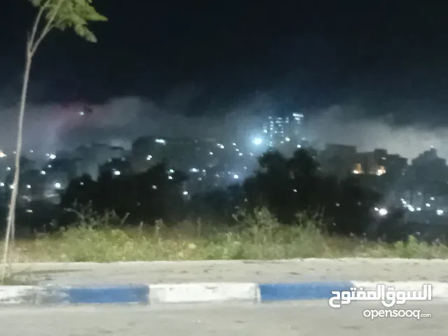 رامي الياس فؤاد ترزي