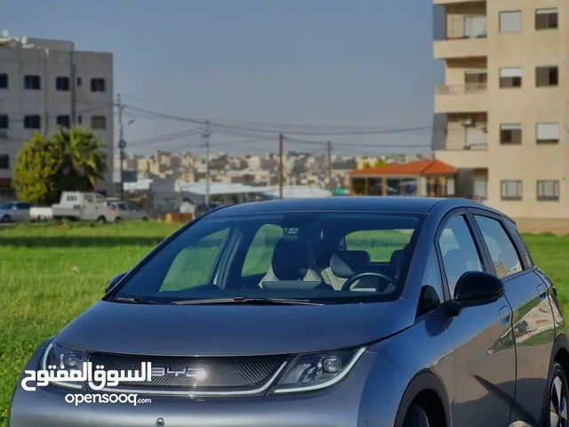Used BYD Dolphin in Amman