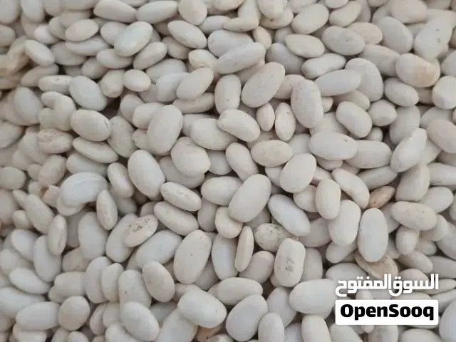 فاصوليا بيضاء