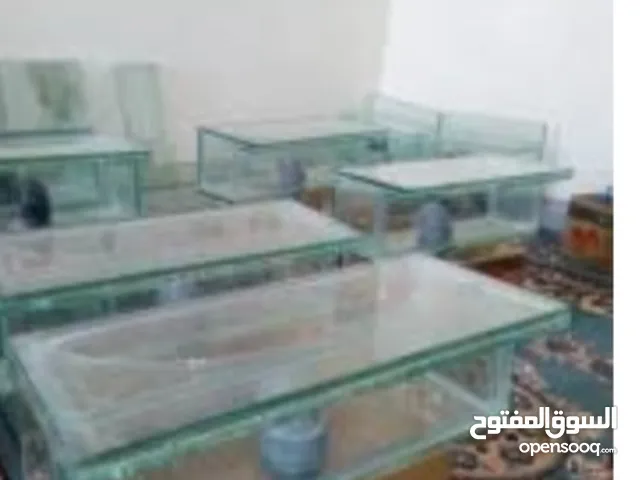 3 Bedrooms Farms for Sale in Tabuk Al Wurud