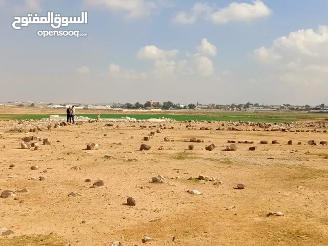 كاش اواقساط ارض استثمارية للبيع كوشان مستقل مثبت حدود الأرض مع تقرير مساح مرخص قابل للتفاوض