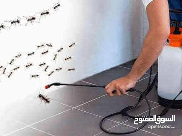 شركه رشد مبيد حشرات بتبوك رش مبيدات حشريه بتبوك