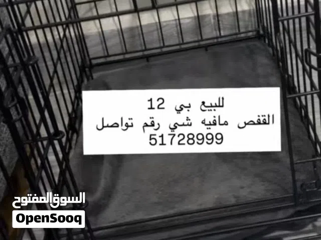 قفص مافيه شي وكان يكفي قطاوتي الاثنين