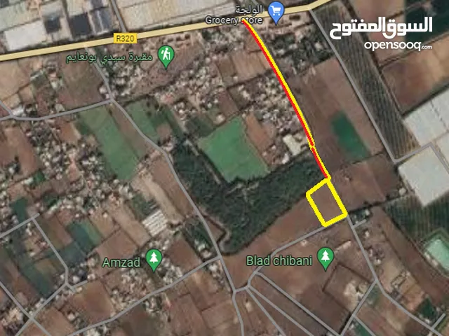 Mixed Use Land for Sale in El Jadida Tnin chtouka