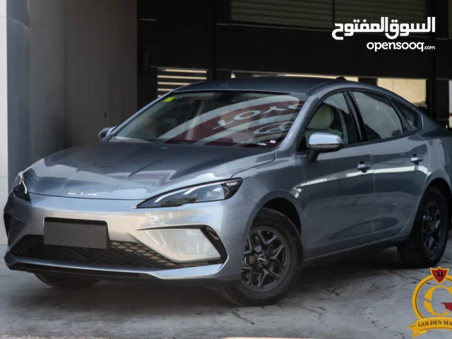 2025, بي واي دي, سيل