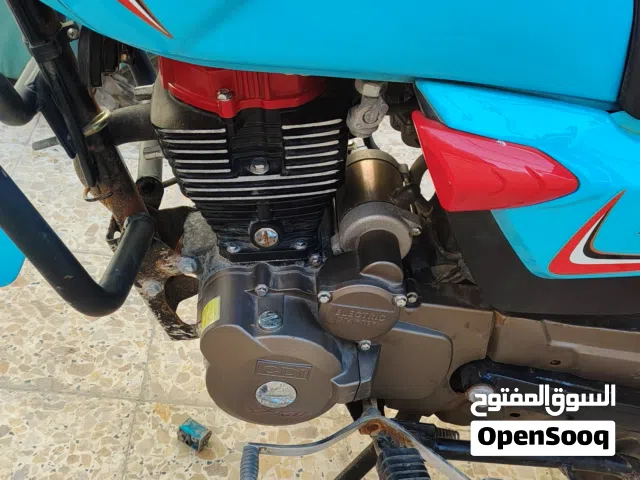 دراجن شاينك مديل 2024