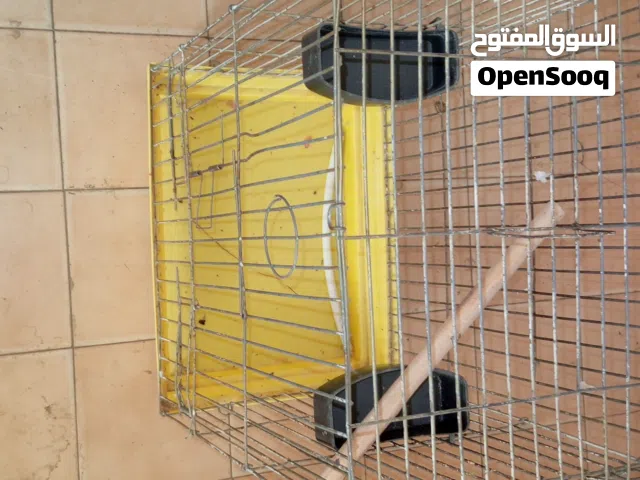 قفص ببغاء كاسكو
