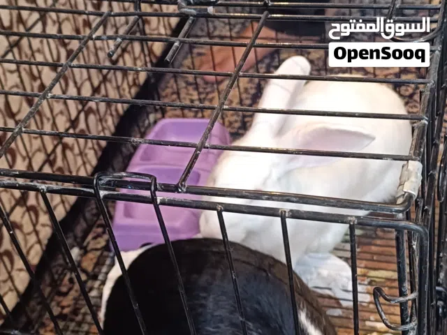 I have not for sell reason