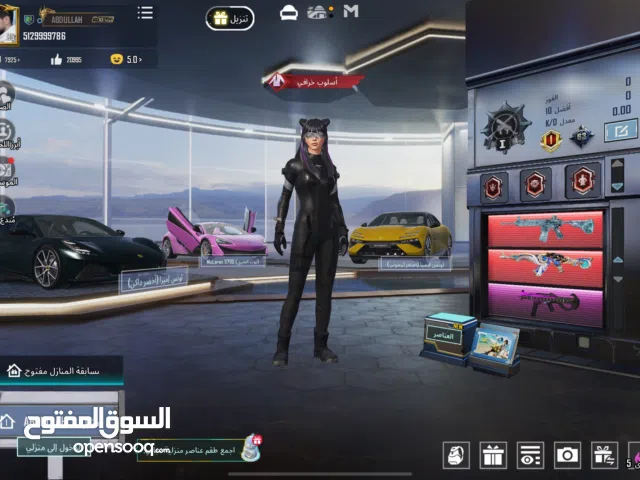 Pubg Accounts and Characters for Sale in Southern Governorate