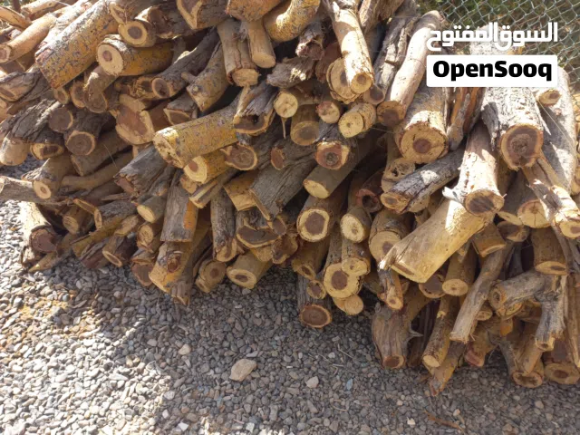 حطب سمر البريمي