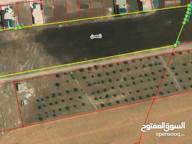 Farm Land for Sale in Irbid Al Husn