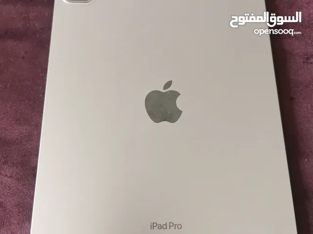 Apple iPad 256 GB in Muscat