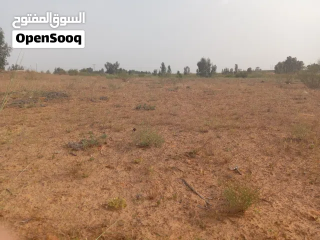 Mixed Use Land for Rent in Tripoli Wadi Al-Rabi