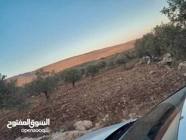 ارض البيع موقع  صالح للسكني