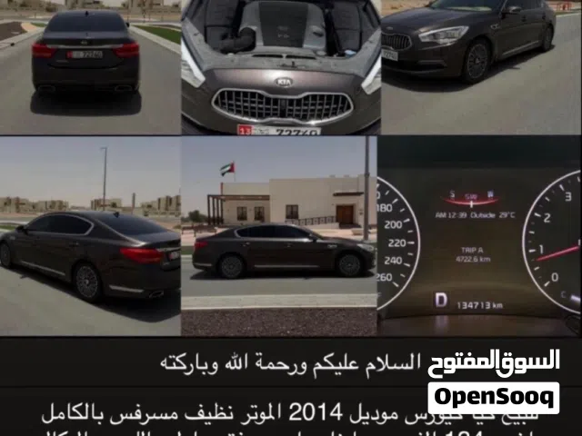 2014 كيا كوريس Premium