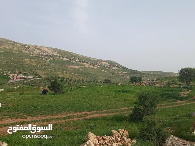 Farm Land for Sale in Zarqa Sarout
