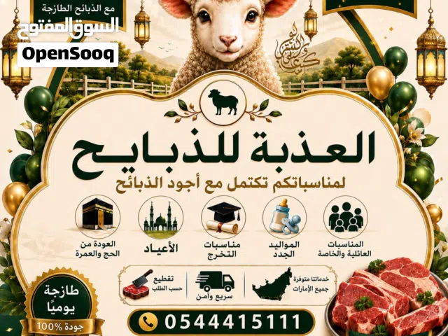 العذبة الذبايح أسعار مناسبه للجميع حي أو مذبوح