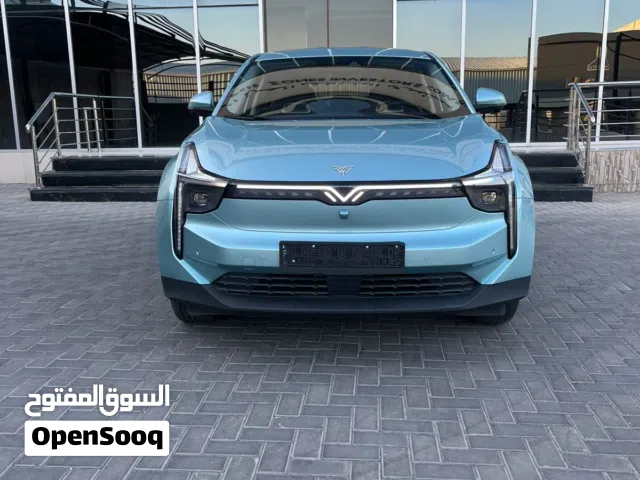 2021 Neta U Pro 500