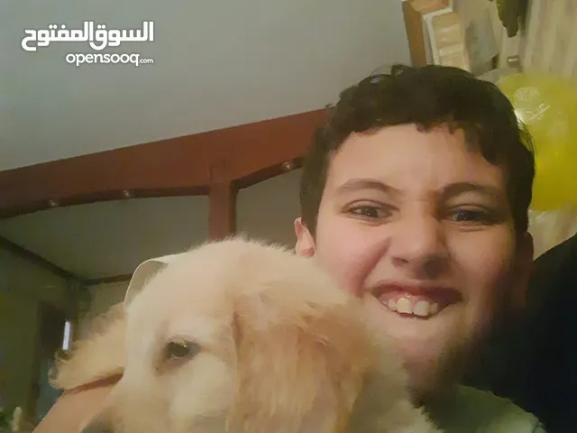 8653شارع الثورة المقطم