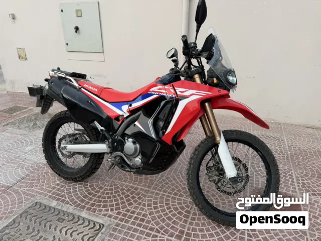 2020 Honda CRF250L Rally