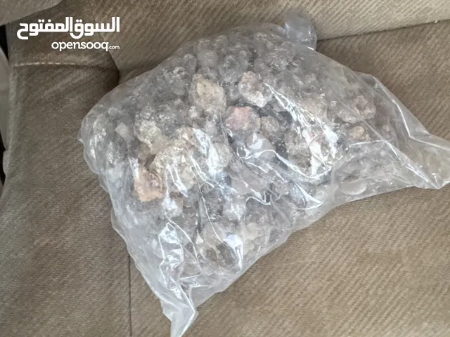 لبان حوجري نوعيه ممتازه ارخص من السوق