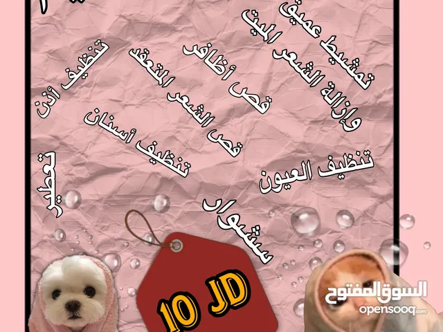 عرض تنظيف الحيوانات الأليفة