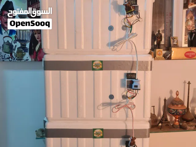 فقاسات الجزيره