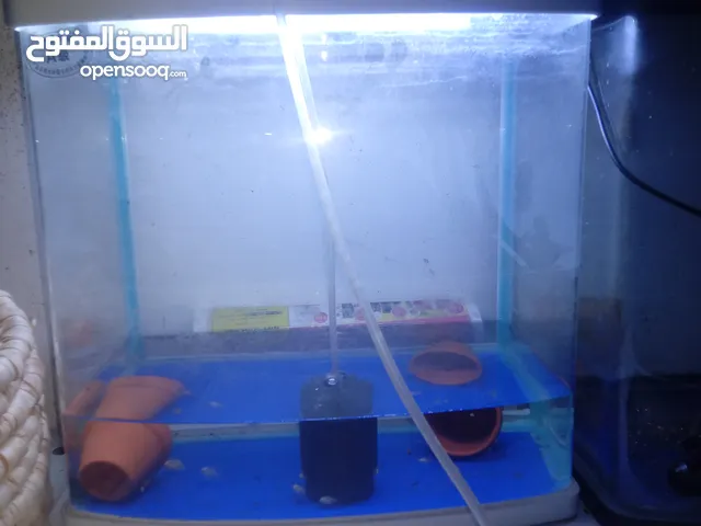 fish tank for sale with fish