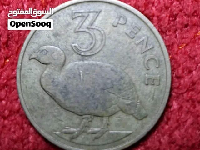 البيع بالقطعه حدد بجاوبك