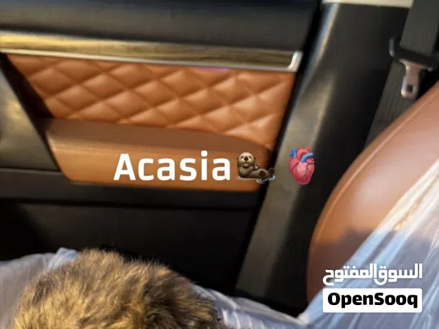 عمره 3 أشهر و8 أيام