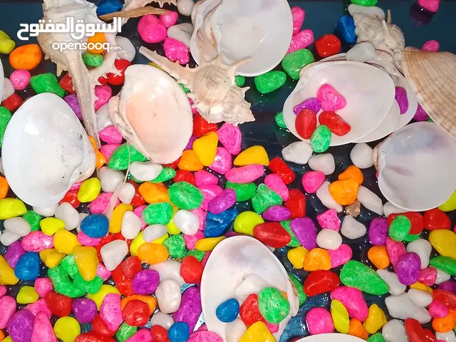 حوض سمك زجاجي بحاله ممتازه جدآ