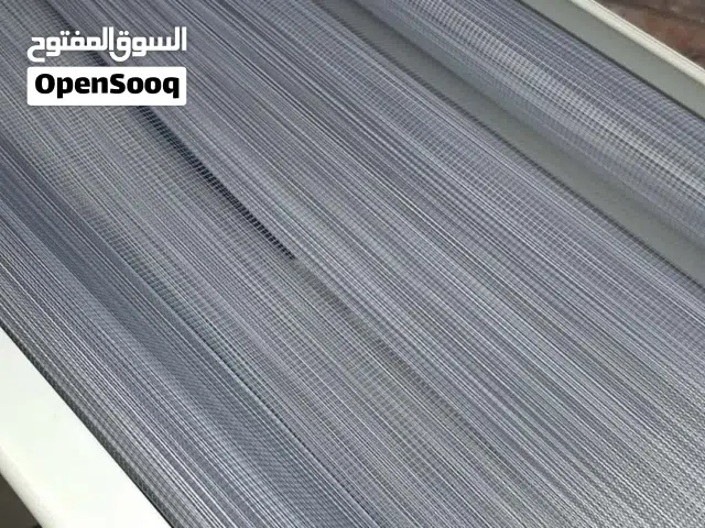 برادي زيبرا