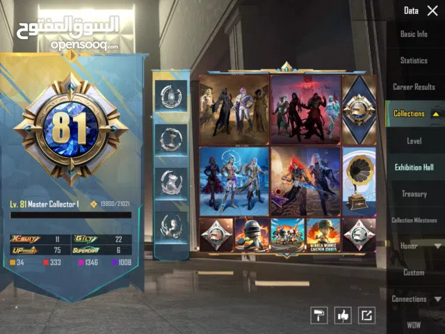 Account Pubg Level Collection 81