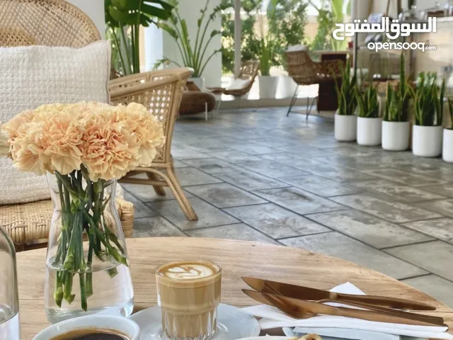 محل كوفي شوب قهوة مختصة للبيع مجهز بالكامل