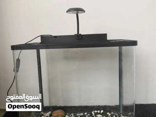 Fish aquarium